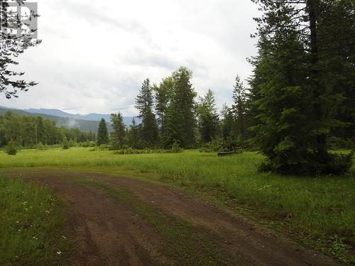 225 Barnes Creek Forest Service Road, Edgewood, BC - Outdoor With View