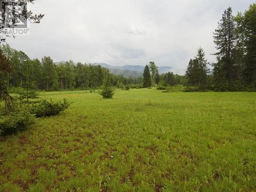 225 Barnes Creek Forest Service Road, Edgewood, BC - Outdoor With View