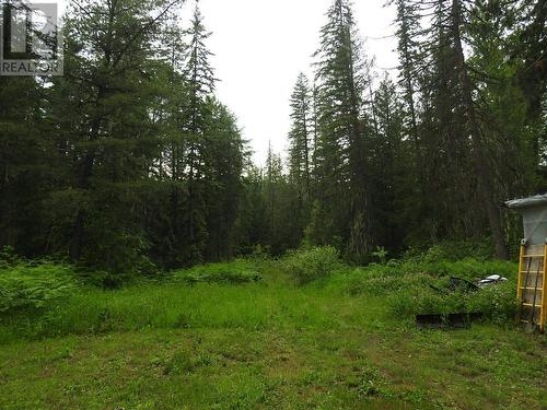 225 Barnes Creek Forest Service Road, Edgewood, BC - Outdoor