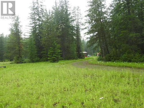 225 Barnes Creek Forest Service Road, Edgewood, BC - Outdoor