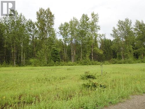 225 Barnes Creek Forest Service Road, Edgewood, BC - Outdoor With View