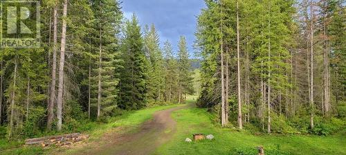 225 Barnes Creek Forest Service Road, Edgewood, BC - Outdoor With View