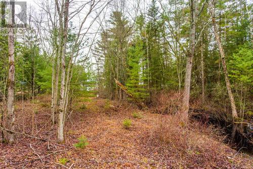 Lt 25 Woodworth Dr, Kawartha Lakes, ON 