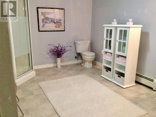 33 Colonial Avenue, Stephenville, NL - Indoor Photo Showing Bathroom