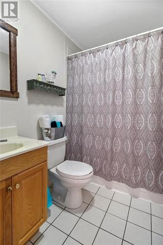 428 Main Road N, Mount Carmel, NL - Indoor Photo Showing Bathroom