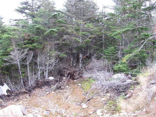 159 B Country Path, Holyrood, NL 