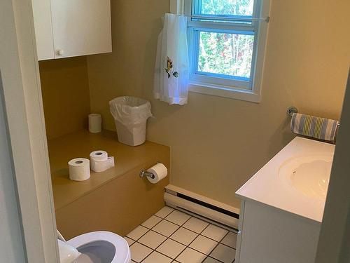 Powder room - 2 Rue St-Vincent, Sainte-Agathe-Des-Monts, QC - Indoor Photo Showing Bathroom