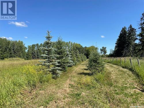 Howes Acreage, Barrier Valley Rm No. 397, SK - Outdoor With View