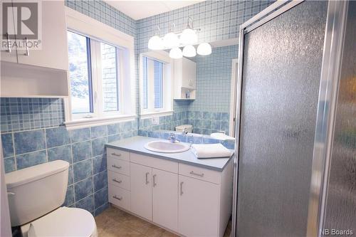 288 Pirie Street, Grand-Sault/Grand Falls, NB - Indoor Photo Showing Bathroom