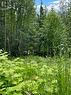 Lot107 Crowfoot Drive, Anglemont, BC 