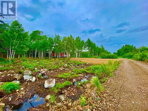 1 Shipbuilders Pond Road, Loon Bay, NL - Outdoor