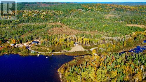 1 Shipbuilders Pond Road, Loon Bay, NL - Outdoor With View