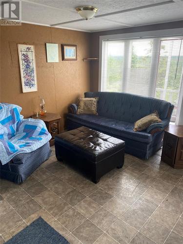3 Reidville Road, Glenwood, NL - Indoor Photo Showing Living Room