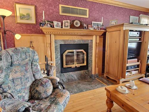 Living room - 441 Ch. De La Gap, Notre-Dame-Du-Nord, QC - Indoor Photo Showing Living Room With Fireplace