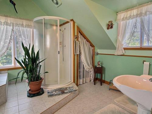 Salle de bains - 441 Ch. De La Gap, Notre-Dame-Du-Nord, QC - Indoor Photo Showing Bathroom