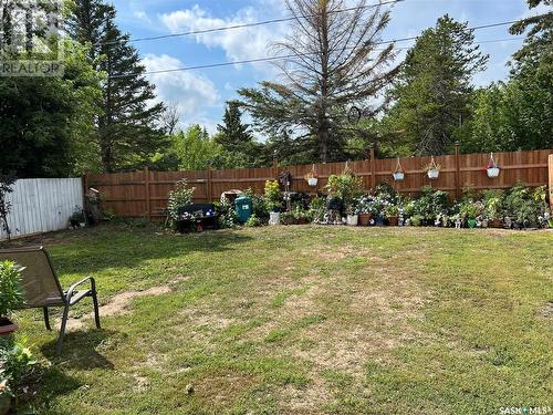 109 - 113 2Nd Street, Star City, SK - Outdoor With Backyard