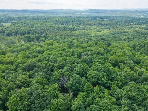 Wooded area - 137 Ch. Johnston, Cookshire-Eaton, QC 