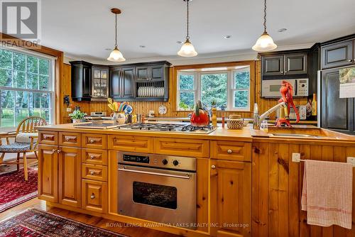 2090 County 121 Rd, Kawartha Lakes, ON - Indoor Photo Showing Kitchen