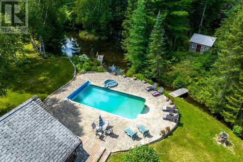 2090 County 121 Rd, Kawartha Lakes, ON - Outdoor With In Ground Pool With Backyard