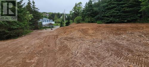 13 King'S Road, Marystown, NL 