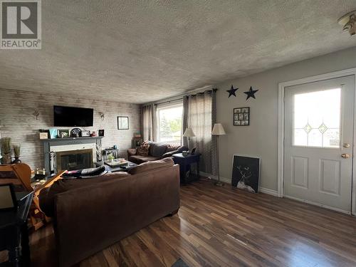 1 Chesnut Place, Grand Falls-Windsor, NL - Indoor Photo Showing Living Room With Fireplace