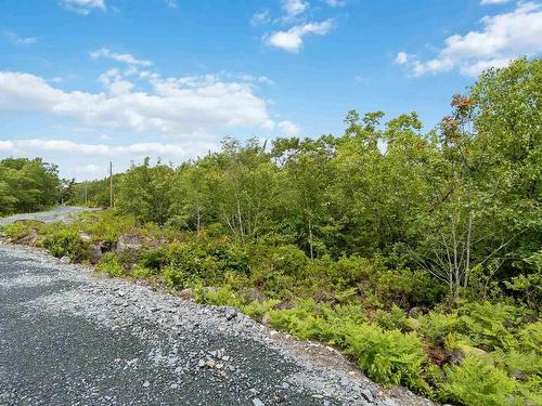 Lot 12 Maple Ridge Drive, White Point, NS 