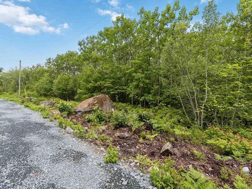 Lot 12 Maple Ridge Drive, White Point, NS 