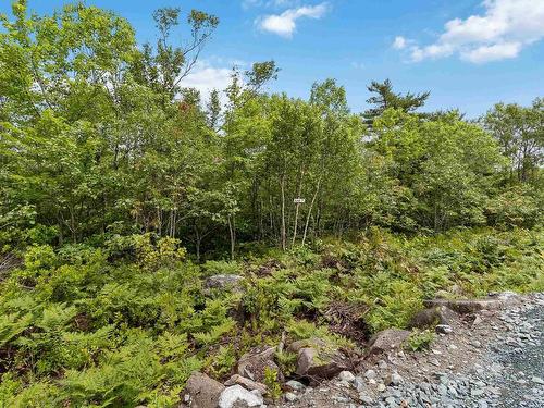 Lot 7 Maple Ridge Drive, White Point, NS 