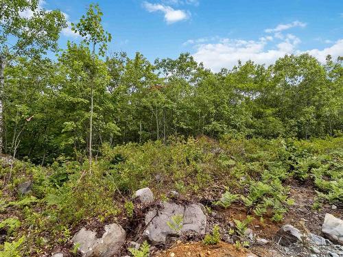 Lot 7 Maple Ridge Drive, White Point, NS 