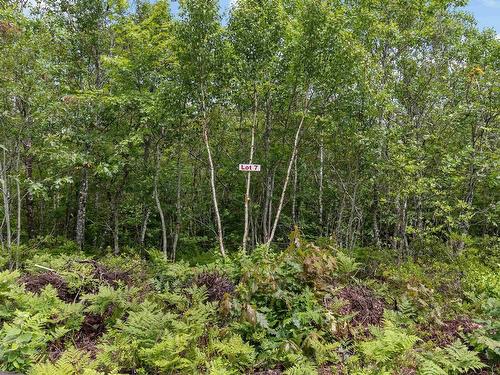 Lot 7 Maple Ridge Drive, White Point, NS 