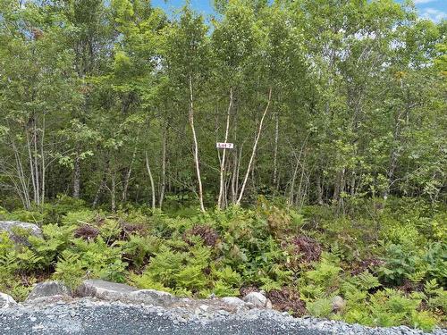 Lot 7 Maple Ridge Drive, White Point, NS 