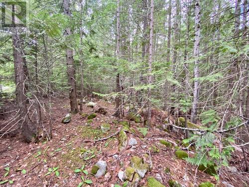 Lot 7 6 Highway, Slocan, BC 