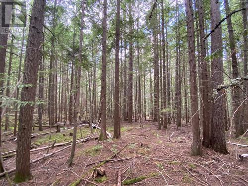 Lot 7 6 Highway, Slocan, BC 