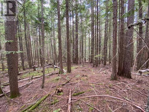 Lot 7 6 Highway, Slocan, BC 