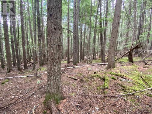 Lot 7 6 Highway, Slocan, BC 