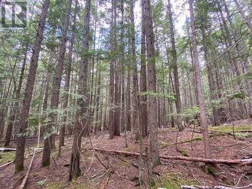 Lot 7 6 Highway, Slocan, BC 