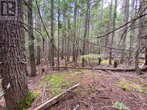 Lot 7 6 Highway, Slocan, BC 