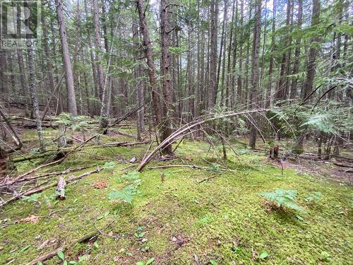 Lot 7 6 Highway, Slocan, BC 