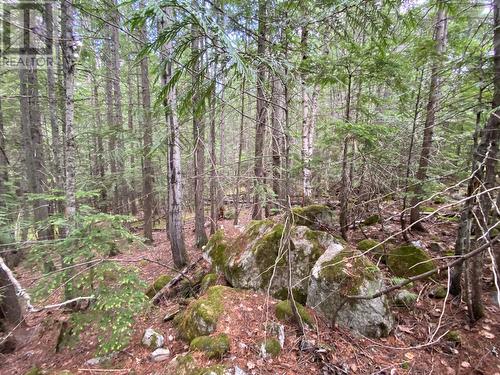 Lot 7 6 Highway, Slocan, BC 