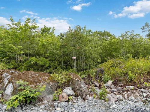 Lot 6 Maple Ridge Drive, White Point, NS 