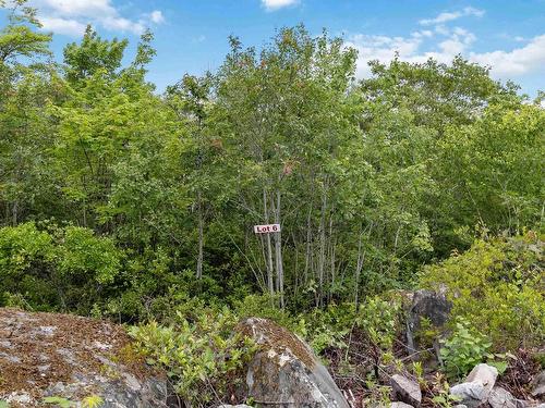 Lot 6 Maple Ridge Drive, White Point, NS 