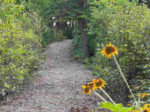 Eb2364 Island  Lotw, Lake Of The Woods, ON - Outdoor