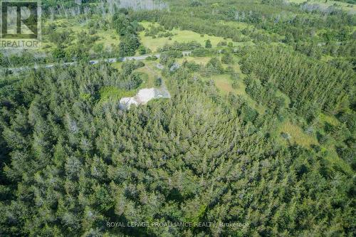 Lot 45 Sprague Road, Prince Edward County, ON 