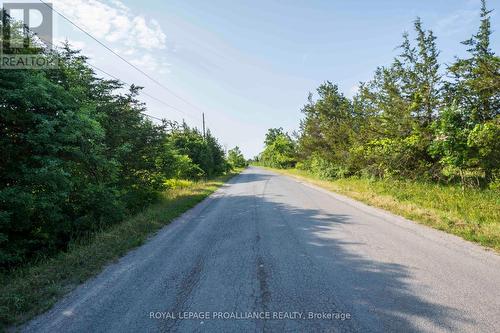 Lot 45 Sprague Road, Prince Edward County, ON 
