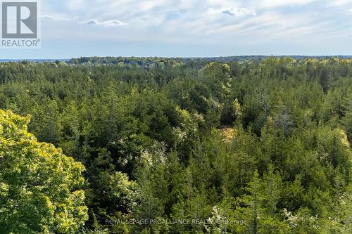 Lot 45 Sprague Road, Prince Edward County (Sophiasburgh), ON 