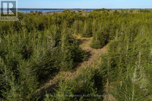 Lot 45 Sprague Road, Prince Edward County (Sophiasburgh), ON 