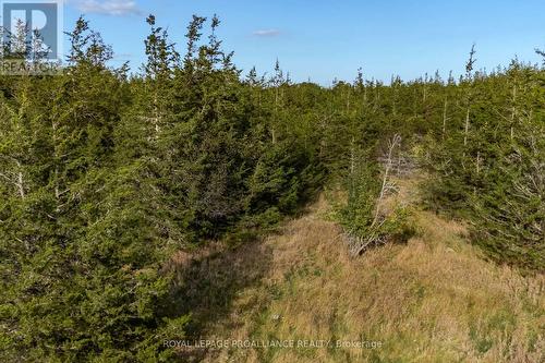 Lot 45 Sprague Road, Prince Edward County (Sophiasburgh), ON 