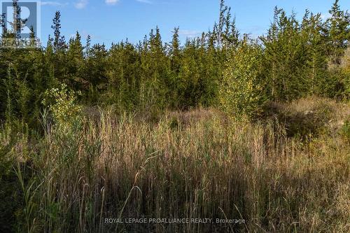 Lot 45 Sprague Road, Prince Edward County (Sophiasburgh), ON 