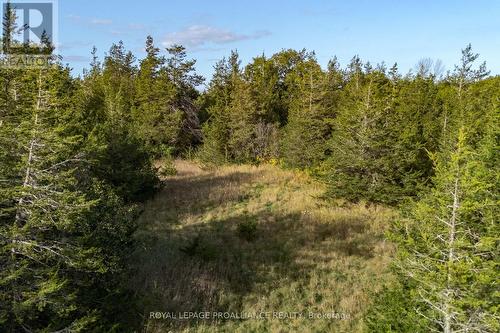 Lot 45 Sprague Road, Prince Edward County (Sophiasburgh), ON 