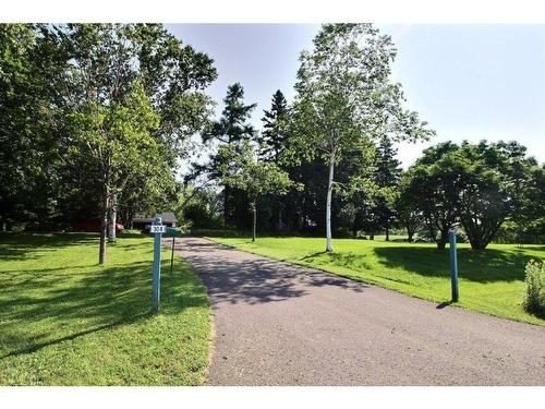 Cour - 304 Route 132 E., New Richmond, QC - Outdoor With View